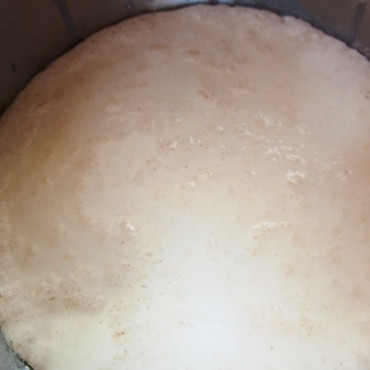 1. Этап. Вишневые бухты: Оставляем смесь в теплом месте минут на 30. Опара должна хорошенько подняться - как на фото.