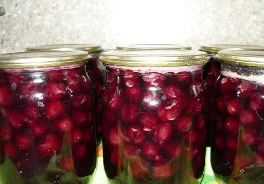 1. Этап. Желе из вишни на зиму: Разливаем желатиново-вишневую массу по чистым стерилизованным банкам и закатываем их. Когда банки полностью остынут, переставляем их в холодильник или в другое прохладное темное место. Всего у меня вышло 6 банок объемом в пол литра.