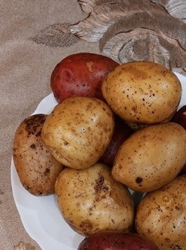 1. Этап. Картофель фри моей мечты: 1. Выбираем картофель приблизительно одинакового размера.