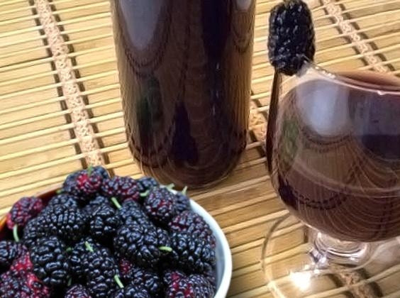 1. Этап. Вино из шелковицы: 5. Спустя три месяца выдержки вино уже можно подавать!