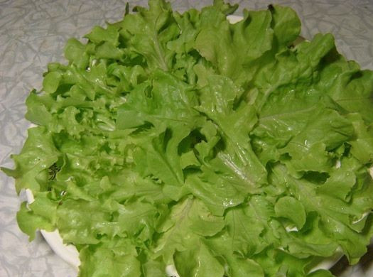1. Этап. Салат с киви и сыром: Моем салат, разбираем на листики и обсушиваем. Для салата листья можно порвать на небольшие кусочки. Складываем подготовленные листья в салатник или на тарелку.