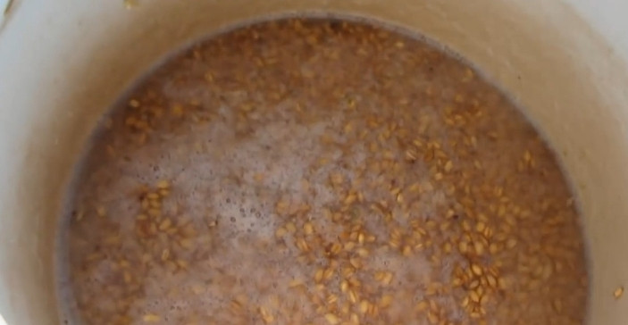 1. Этап. Брага на пророщенной пшенице: 1. В миске пшеницу заливаем сахарным сиропом ( берем 200 грамм сахара и разводим на 1 л воды), и заливаем так, чтобы закрыло зерна на 2-3 пальца сверху. Пусть настаивается, бродит и прорастает. Ждем три-четыре дня.