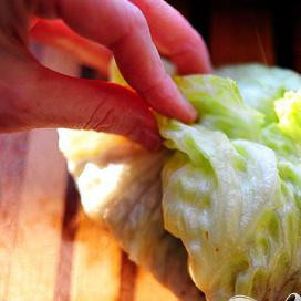 1. Этап. Индейка и салат-латук: Слегка заверните салат, так будет удобнее уложить на блюдо. Подавайте горячим. Приятного аппетита.