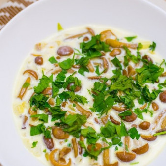 Грибы лисички