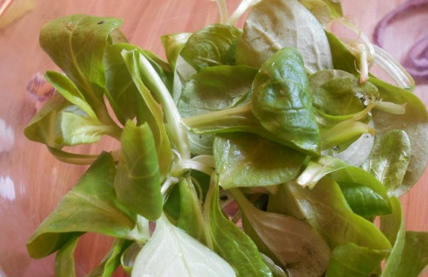 1. Этап. Кальмары постные: Промойте и обсушите салат. Выложите его в салатницу.