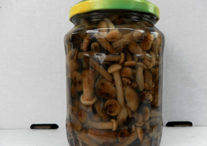 1. Этап. Маринованные опята в мультиварке: Когда время выйдет, оставляем опята в мультиварке до полного остывания, затем раскладываем их по чистым баночкам и ставим на хранение в холодильник. Уже через 12 часов можно снимать пробу. Приятного аппетита!