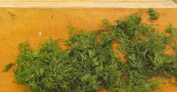 1. Этап. Фрикадельки грибные: Мелко режем укроп.