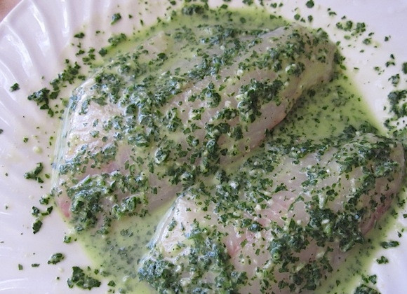 1. Этап. Белая рыба на гриле: 3. Вымойте рыбное филе, залейте его приготовленным маринадом.