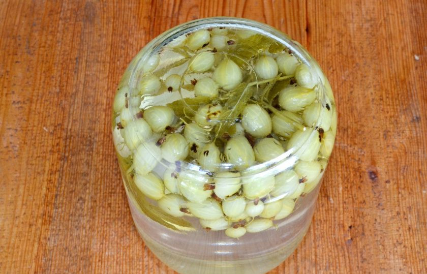 1. Этап. Компот из крыжовника с мятой: Влейте кипяток, накройте простерилизованной крышкой и закатайте. Переверните баночку вверх дном и оставьте до полного остывания. После уберите в прохладное темное место.