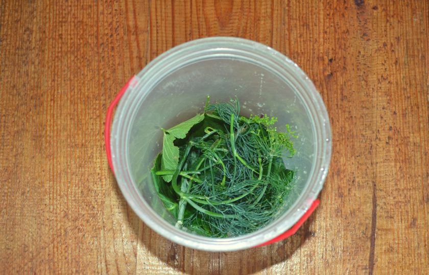 1. Этап. Малосольные огурцы в горячем рассоле: Всю зелень тщательно вымойте, половину выложите на дно контейнера, в котором будете мариновать огурцы.