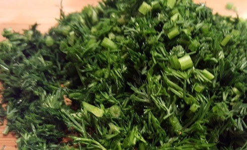 1. Этап. Огурчики в мешочке: Укроп промойте, отрежьте от него стебли. Зелень нарубите мелко острым ножом. Вы можете добавить любую другую зелень по вкусу. Например — лук или петрушку.