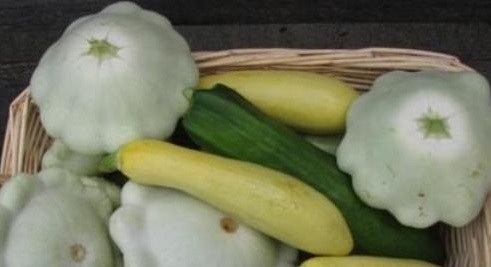 1. Этап. Консервированные патиссоны без уксуса: Заранее приготовьте стерилизованные баночки и крышки для закрутки консервации. Патиссоны тщательно промойте и порежьте.