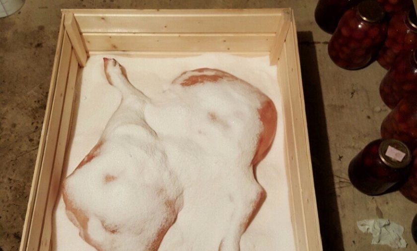 1. Этап. Окорок сыровяленный: Подберите или соорудите деревянный ящик или нишу для засолки мяса. Расчитывается засолка как полтора дня на 1 кг. В моем случае оставляю мясо полностью до верха в соли две недели. Изредка необходимо переворачивать окорока, чтобы не затвердела соль.