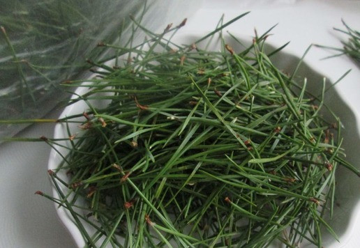 1. Этап. Хвоя сосновая ферментированная: Собрать хвою, отделив её от веточек.