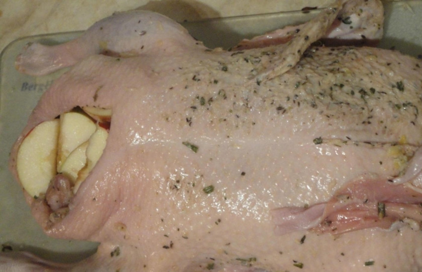 1. Этап. Рождественский гусь с яблоками: 10. Достаю гуся из холодильника, фарширую его яблочной начинкой. Салфеткой немного обтираю кожу, чтобы чеснок не пригорал в процессе выпекания.