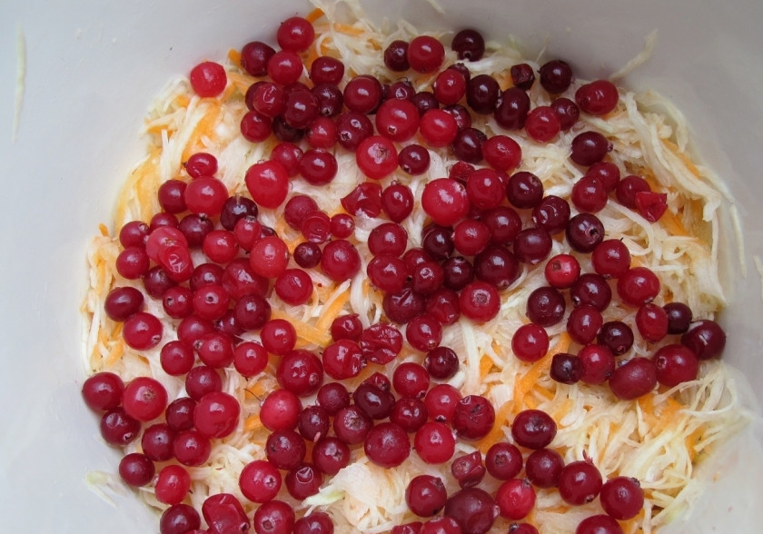 1. Этап. Бомбовая капустка: 7. Выкладываем капусту и клюкву. Делаем слоями: капуста, клюква, капуста, клюква. Затем нам нужно поставить капусту под гнет.