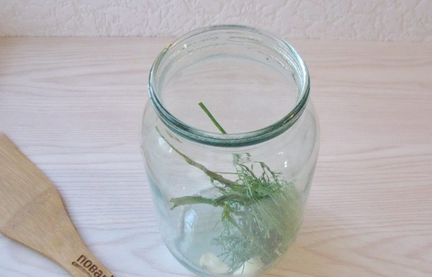 1. Этап. Соленый арбуз: На дно стерилизованной литровой банки выложите укроп и чеснок.