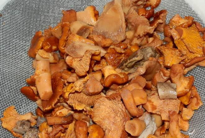 1. Этап. Салат с лисичками и зеленью: Первым делом мы хорошенько перебираем грибочки и промываем их под проточной водой, откидываем на дуршлаг.