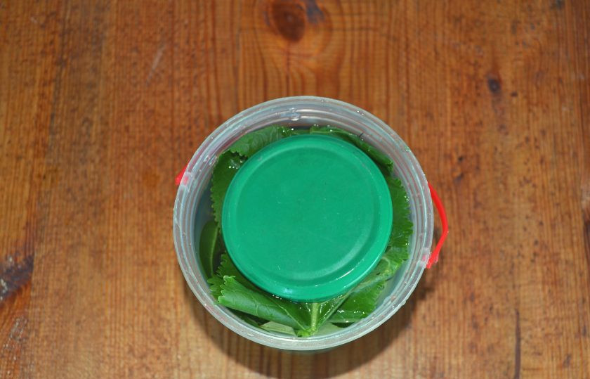 1. Этап. Малосольные огурцы в горячем рассоле: Влейте горячий рассол. Сверху накройте тарелкой или крышечкой и установите груз. Оставьте в темном прохладном месте.