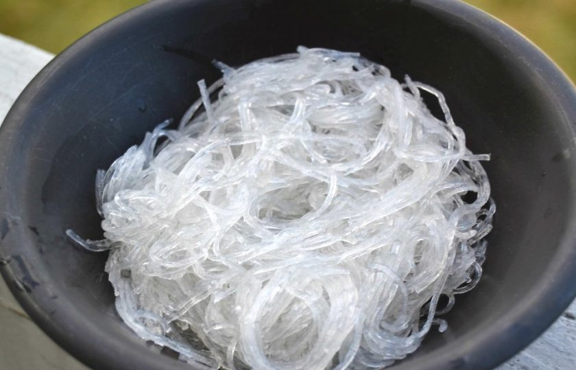 1. Этап. Запеченный фаршированный кальмар: 8. Аккуратно удалите рисовую лапшу из воды и переложите в тарелку.