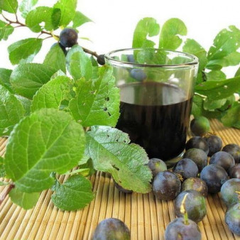 Вино из терновника