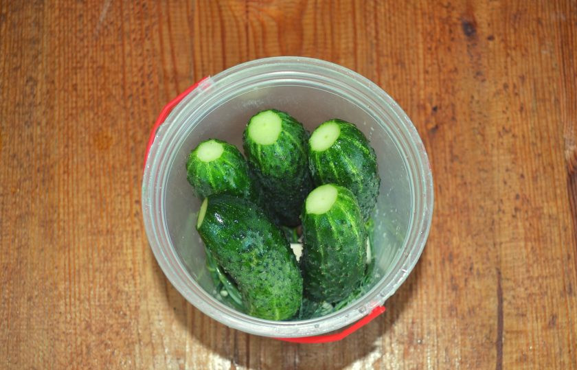 1. Этап. Малосольные огурцы в горячем рассоле: Выложите вымытые огурцы.