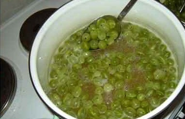 1. Этап. Крыжовник в сиропе: 4. Когда сироп закипел, снять его с огня и отправить туда ягоды. Аккуратно перемешать и оставить на 3-5 часов (можно на ночь), чтобы ягоды настоялись и как следует пропитались. Как сделать крыжовник в сиропе еще ароматнее? В сироп можно добавить хорошо вымытые и обсушенные листья малины или смородины, например. Это придаст особую нотку.