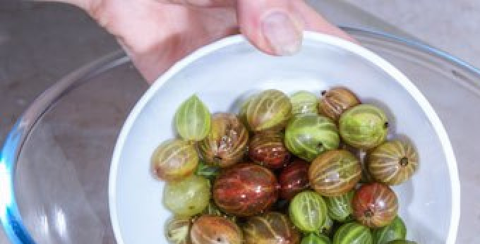 1. Этап. Варенье из крыжовника в микроволновке: 2. Помещаем его в посуду для микроволновки, и засыпаем сахаром.