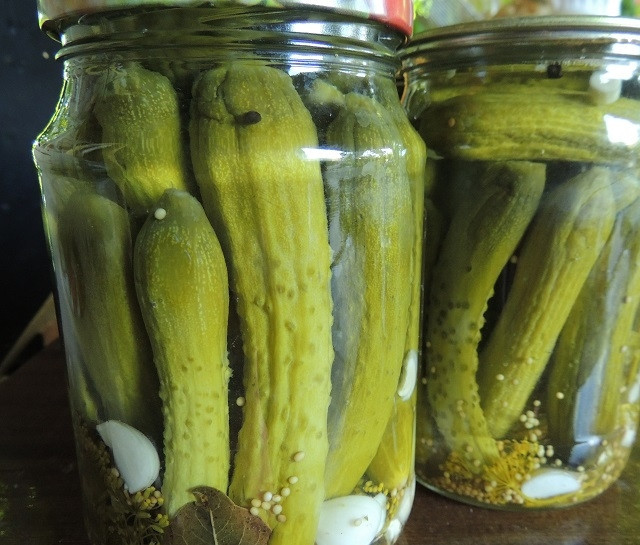 1. Этап. Маленькие огурчики на зиму: Параллельно вскипятите воду для всех банок. Разлейте кипяток по банкам, закатайте их стерилизованными крышками. Переверните и дайте остыть, укутав в полотенце.