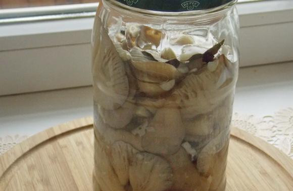 1. Этап. Вешенки соленые с чесноком: Для маринада смешиваем воду и крупную соль, доводим жидкость до кипения и мешаем маринад до полного растворения соли. Горячим маринадом заливаем грибы в банке и закручиваем ее крышкой. Ставим банку в холодильник, а через сутки грибы уже готовы к употреблению.