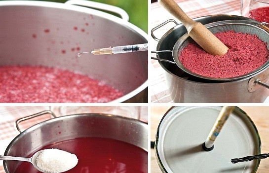 1. Этап. Вино из малины: 3. Добавьте хлорид аммония и оставьте вино бродить еще на недельку. После можно отделить сок от жмыха и снова добавить немного сахара. На этом же этапе подготовьте крышку, сделав в ней отверстие для трубочки.