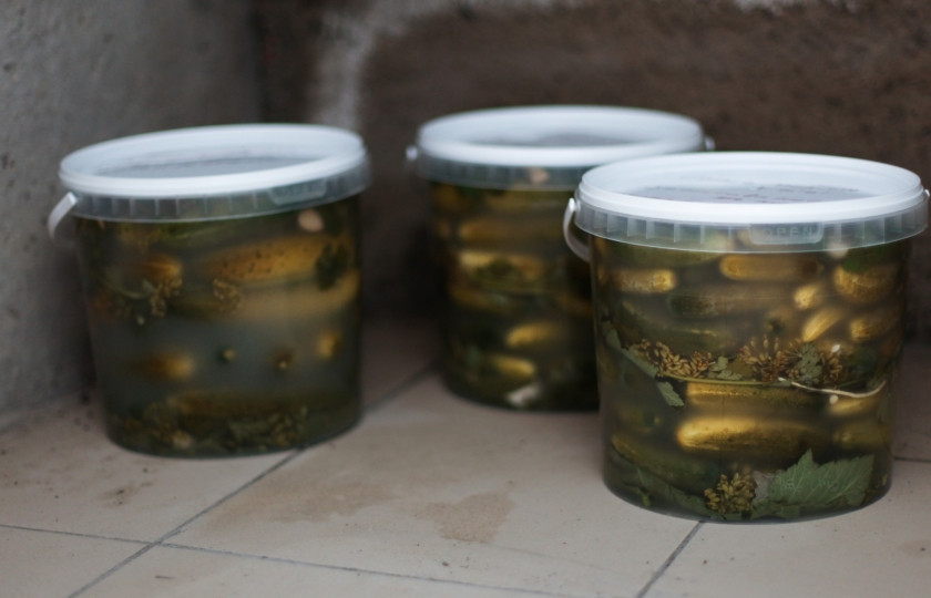 1. Этап. Квашеные огурчики: Еще через сутки рассол помутнеет, емкости можно плотно закрыть и отправить в погреб. Температура должна быть градусов 8-10, в комнате квашеные огурцы хранить нельзя, но и в холодильнике тоже. Через месяц готовые квашеные огурчики уже можно будет опробовать.