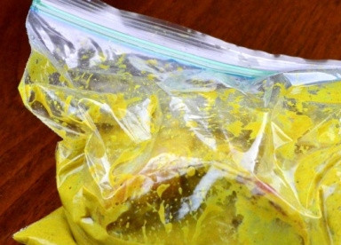 1. Этап. Као Мок Гай: Выкладываем курицу вместе с маринадом в пакет или емкость с плотной крышкой, отправляем в холодильник часов на 6-8.