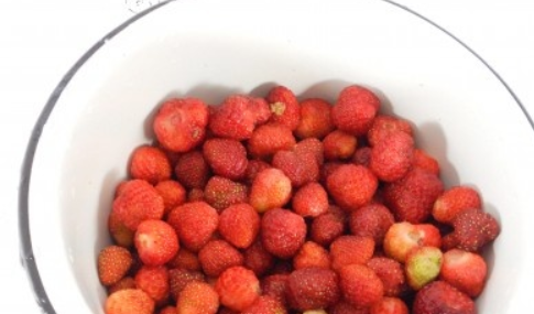 1. Этап. Клубника с сахаром на зиму без варки: Клубнику очищаем от листьев и промываем. Затем ошпариваем кипятком и даем ей обсохнуть.