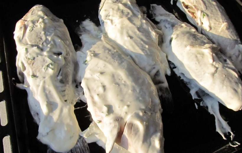 1. Этап. Фаршированный карп: 3. Теперь обильно смажем сметаной каждую рыбку, посыпаем сверху немного солью и отправляем запекаться в духовке при температуре в 160 градусов на 40 минут.