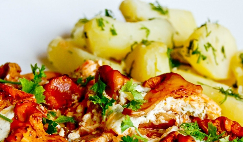 1. Этап. Лисички в сметане по-украински: Подавать горячим, по традиции - с отварным картофелем. Смачного! :)