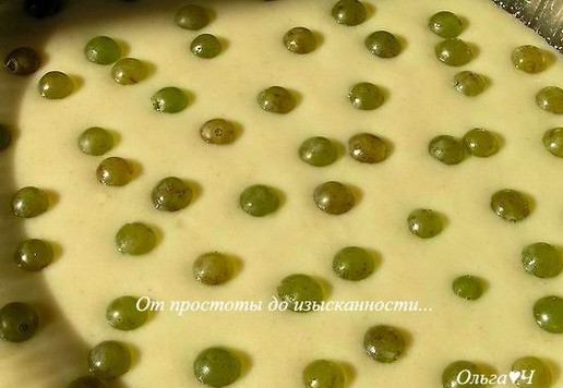 1. Этап. Постный манник с виноградом: Тесто перелейте в форму, диаметром 23-24 см, смазанную маслом и посыпанную манкой. Сверху разложите виноград.