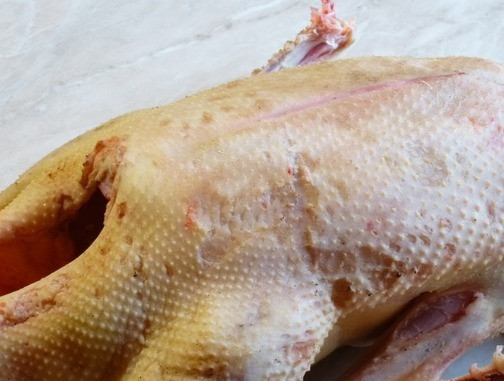 1. Этап. Гусь в казане: Гуся тщательно ощипываем и моем. Нарезаем гуся на куски.