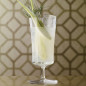 Fennel Syrup