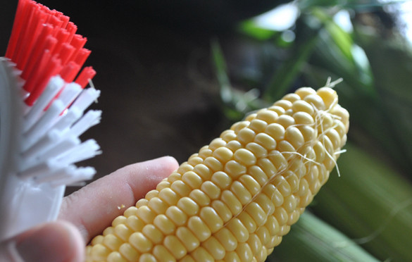 1. Этап. Консервированная кукуруза в початках на зиму: 2. Можете использовать мягкую щетку, чтобы избавиться от волокон на початках.