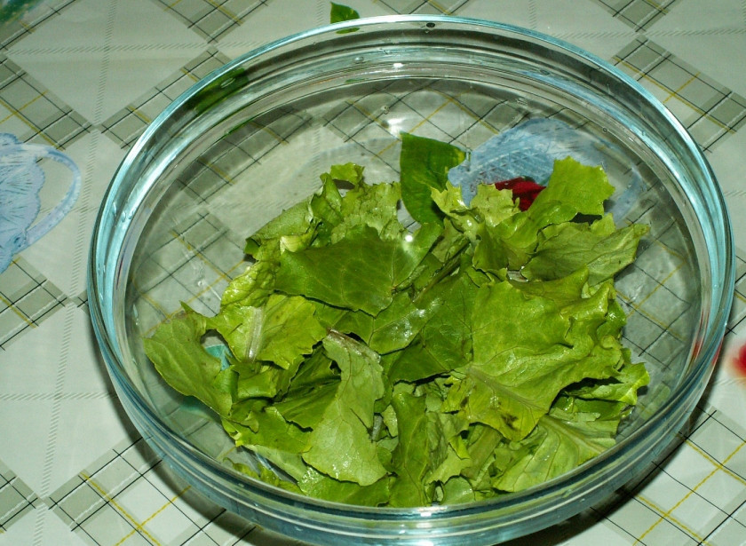 1. Этап. Cалат с копченой куриной грудкой: 6. Вымыть листья салата, обсушить и порвать руками. Выложить на дно салатника.