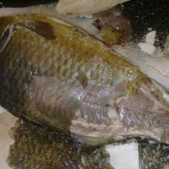 Карп, запеченный в соли