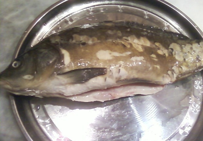 1. Этап. Котлеты из карпа: Свежего карпа тщательно вымываем под холодной водой и очищаем от внутренностей и чешуи, затем еще раз моем.