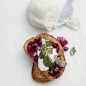 Glazed-Beet-and-Burrata Toasts
