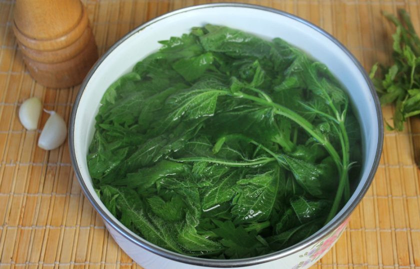 1. Этап. Постный суп из крапивы: Крапиву кладем в миску и заливаем кипятком, затем хорошо промываем. Выбираем только молодые листочки и нарезаем.