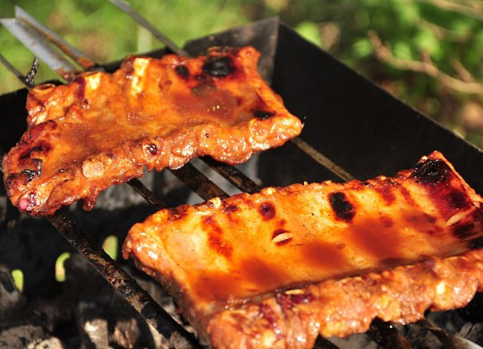 1. Этап. Свиные ребрышки на костре: А теперь приступаем к самой ответственной части рецепта приготовления свиных ребрышек на костре, а именно -выбираемся на природу и разводим костер. На шампуры, уложенные рядом друг с другом или на решетку выкладываем замаринованные ребрышки.