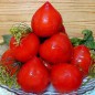 Five-day tomatoes