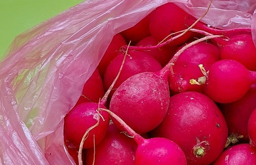 1. Этап. Салат с чукой, редисом и киноа: Так же в салат понадобится редис. В зимнее время можно использовать свежий дайкон.