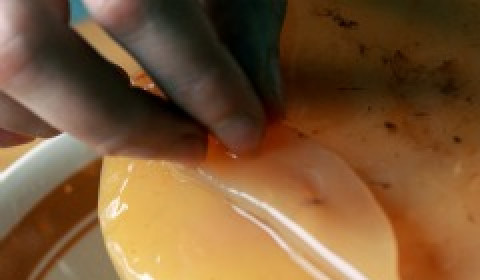 1. Этап. Квас из гриба: Идеальная толщина гриба - 4-5 см. Верхние слои лучше регулярно снимать, так как нижние слои самые полезные.