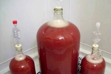 1. Этап. Брага для самогона из варенья: Брагу можно оставить в большой кастрюле, закрыть и укутать теплым одеялом. А можно разлить по бутлям, закрыть гидрозатвором и тоже укутать.